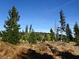 Vrcholová plošina Stráže - JZ vrcholu, v pozadí bavorský Siebensteinkopf (1263 m).