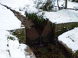 Malá "přehrada" asi 10 metrů od pramene Volyňky pod Světlou horou mírně zvedne její hladinu, takže se lze napít přímo z pramene.
