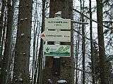 Turistické značení v sedle mezi tisícovkami Světlá hora a Světlá hora - J vrchol, kde byl zastřelen poslední vlk na Šumavě.