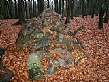 Kamenná mohyla a historický patník s letopočtem v sedle mezi tisícovkami Světlá hora a Světlá hora - J vrchol, místo zastřelení posledního vlka na Šumavě.