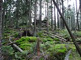 První skalka ve vrcholové části Tetřeva ve směru od severního odlesněného úbočí není ještě ta nejvyšší.