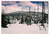 Česko-bavorská hranice (1243 m) poblíž tisícovky V koutě s pohledem na dvojvrcholový Blatný vrch (Plattenhausen).