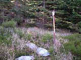 Geodetický bod tisícovky V pařezí, tentokrát bez sněhu.