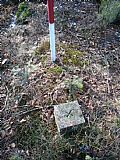 Geodetický bod ve vrcholové části tisícovky Větrný.