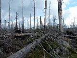 Vrchol Vysokého hřebenu je v současné době jen těžko přístupný kvůli velkému množství polámaných stromů. Fotka je pořízena asi 10 metrů od geodetického bodu na vrcholu.