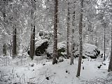 Vrcholová skalka ve střední části vrcholového hřbítku Zahrádek.