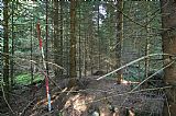 Geodetický bod s kótou 1060,84 poblíž svahové skály Debrník na západním svahu Zámeckého lesa.
