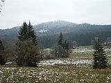 Zasněžená vrcholová část tisícovky Žlíbský vrch z turistické cesty z Polky na Knížecí pláně.
