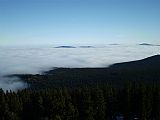 Pohled z vrcholu Boubína na z mlhy vystupující tisícovky Libín, Na Skalce a Rohanovský vrch.