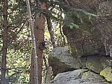 Na druhém vrcholu (nižším vrcholu z dvojvrcholu) tisícovky Na skalce, je geodetický bod a moc pěkná skála, ...a i po letech stále fotopast