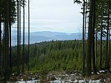 Pohled z úpatí skal tisícovky Žebříkový kámen lesním průsekem na západ.
