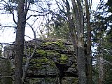 Na nejvyšší skále tisícovky Žebříkový kámen rostou malé stromky.